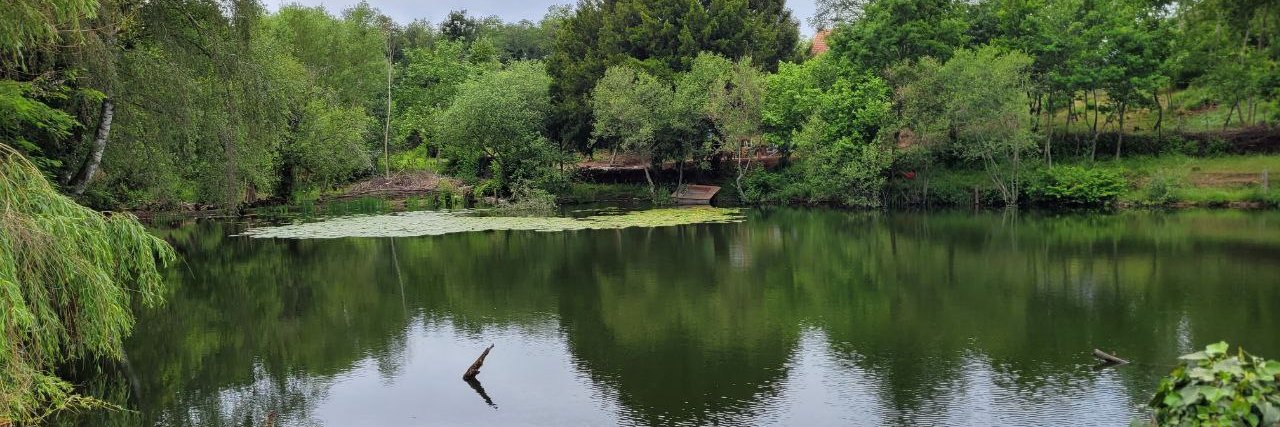 🏳️‍🌈 AllStarze 🇫🇷【=◈︿◈=】 banner