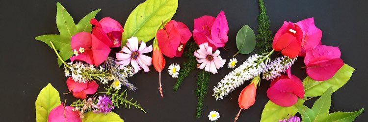 larala_cl's profile banner image