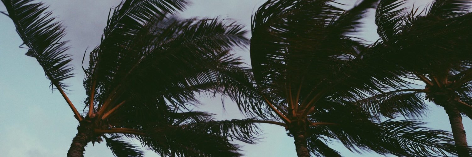 sickhangs's profile banner image