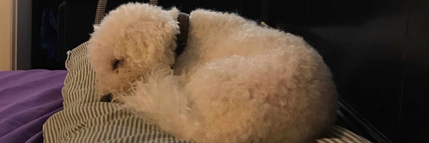 CoreyGaynes's profile banner image