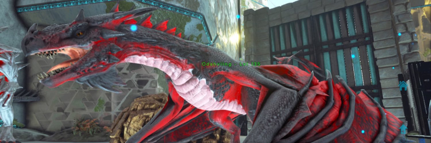 kciwoo's profile banner image