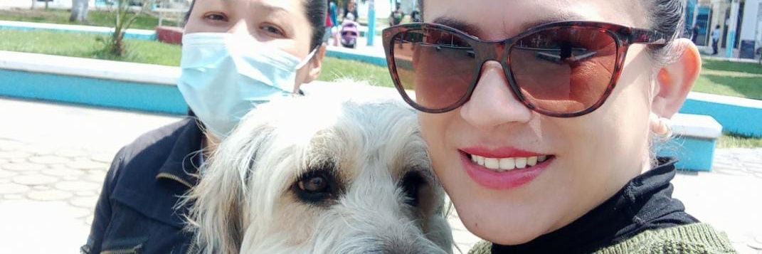 MariNavarreteGu's profile banner image