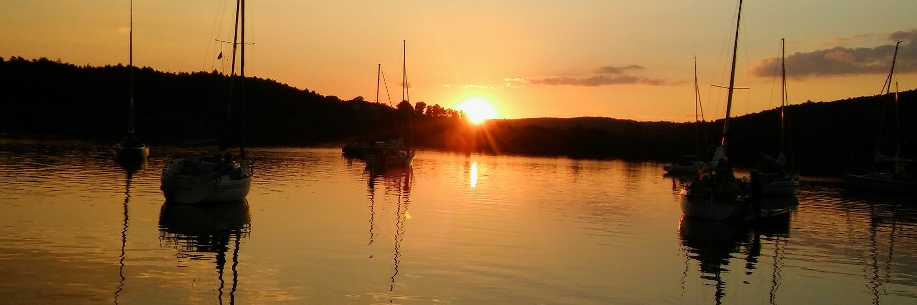 Roland Aßmann banner
