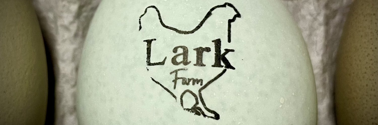 ALark_PhD's profile banner image