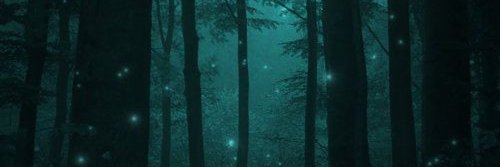 SaidUrman's profile banner image