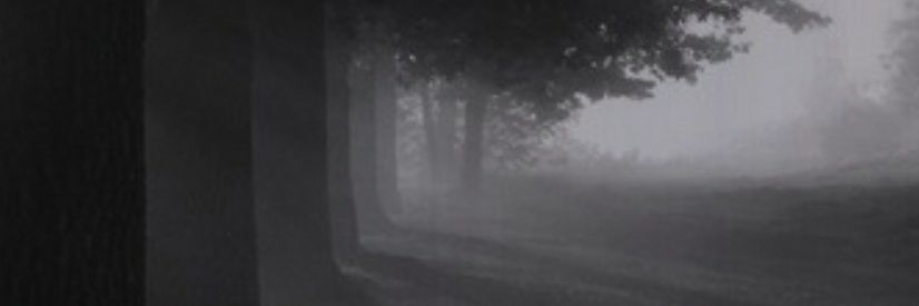 SpiderTries's profile banner image