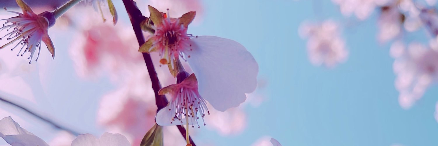 _feryeel's profile banner image
