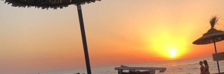 🐺. banner