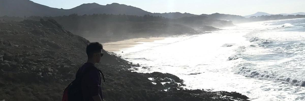 titofungi's profile banner image