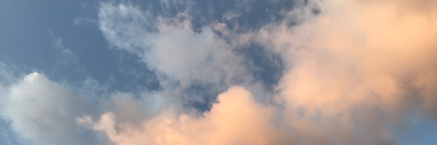 IcecubeAlpaca's profile banner image