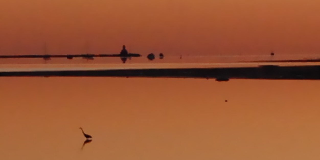 CraigMacDougal3's profile banner image