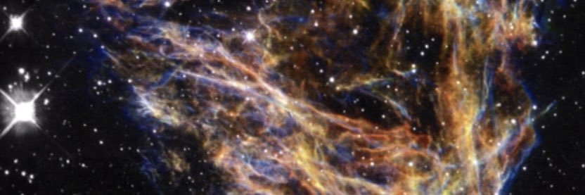 Dahlyb banner