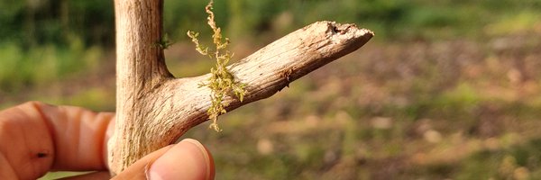 AOauggie Profile Banner