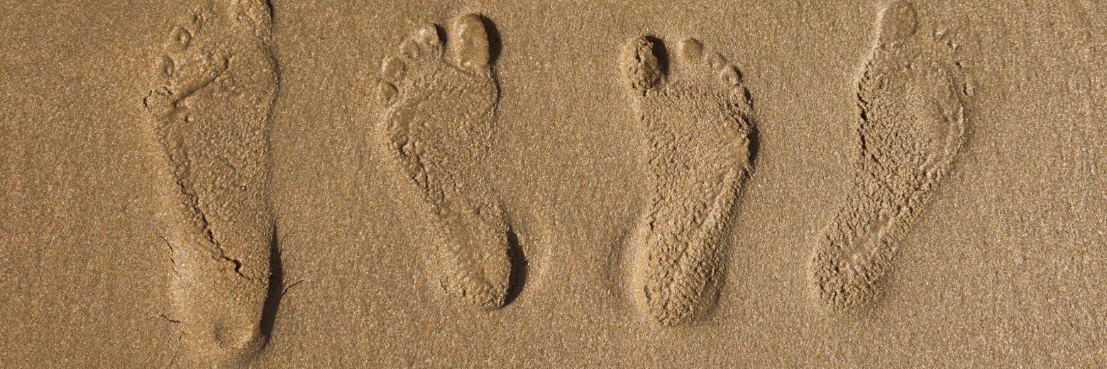 Producer Speechless banner