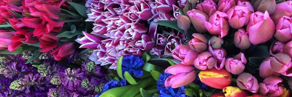 Tamara_WilsonPR's profile banner image