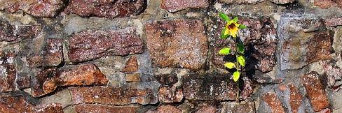 ismailde86's profile banner image