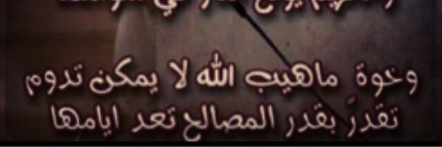 majd2014's profile banner image