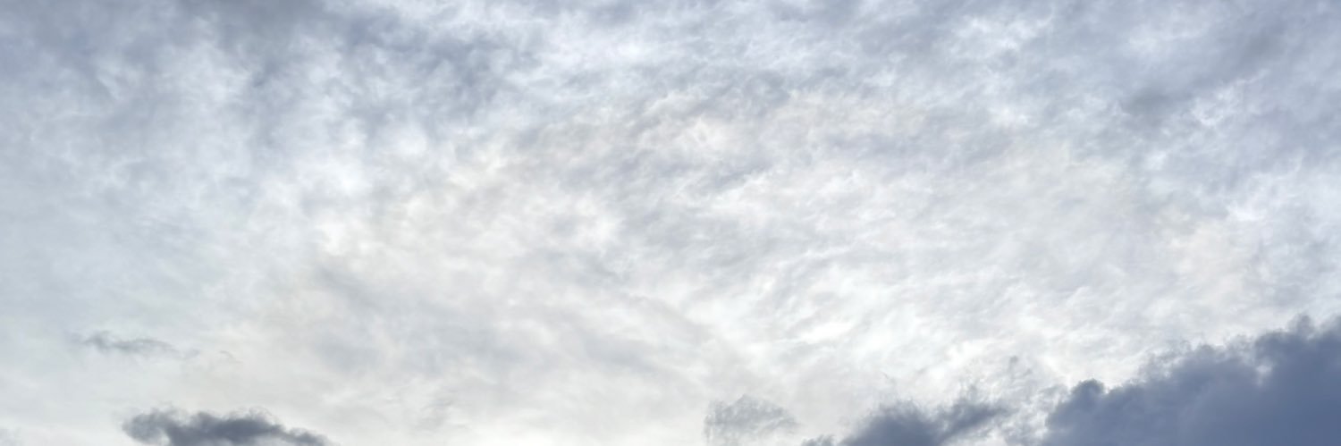 suu12306's profile banner image