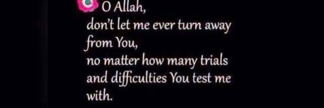 N. Ahmad banner
