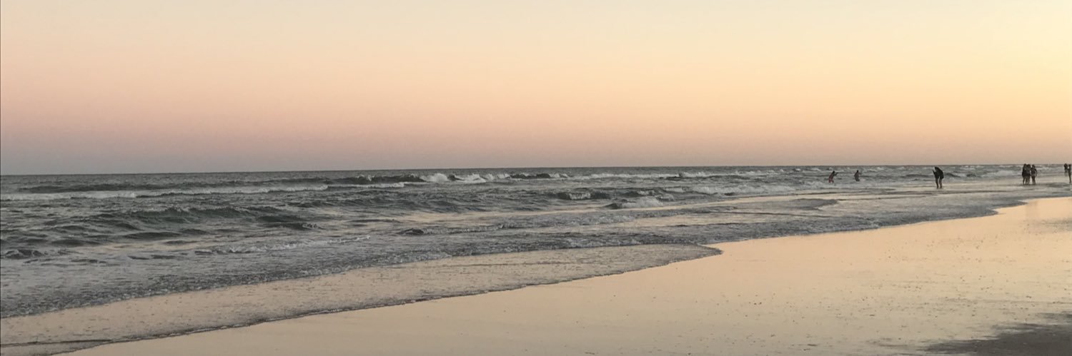 tedescoflor_'s profile banner image
