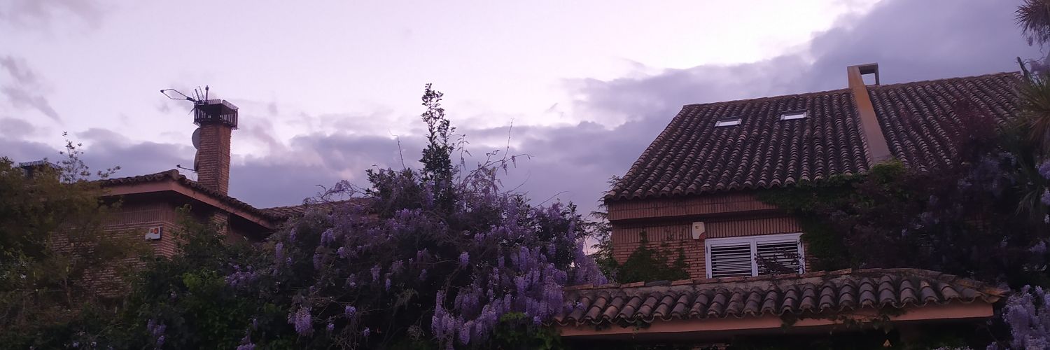 lauapagar's profile banner image