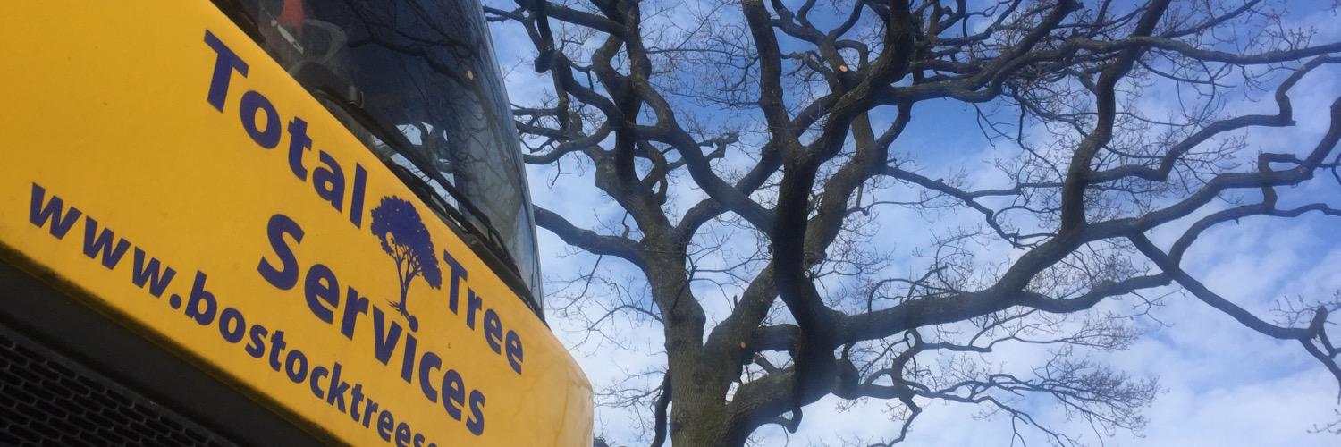 TreeTotal's profile banner image