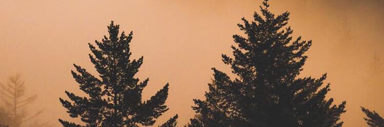 teeeeee banner