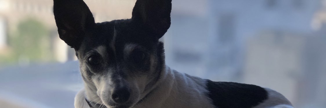 katcrevda's profile banner image