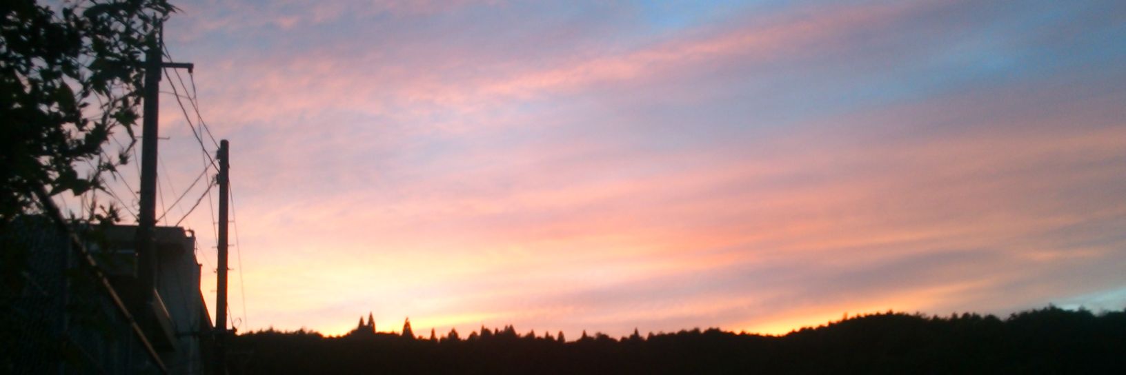 kawasenagi's profile banner image