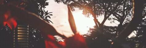 indahbunga07's profile banner image