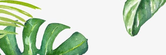 Emilysofiag's profile banner image