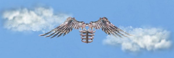 GracieTRK Profile Banner