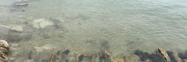 l_lambert_93 Profile Banner