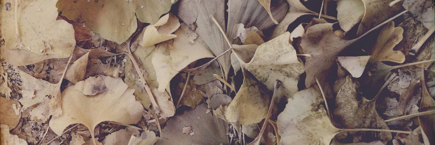 ごめんなさい banner