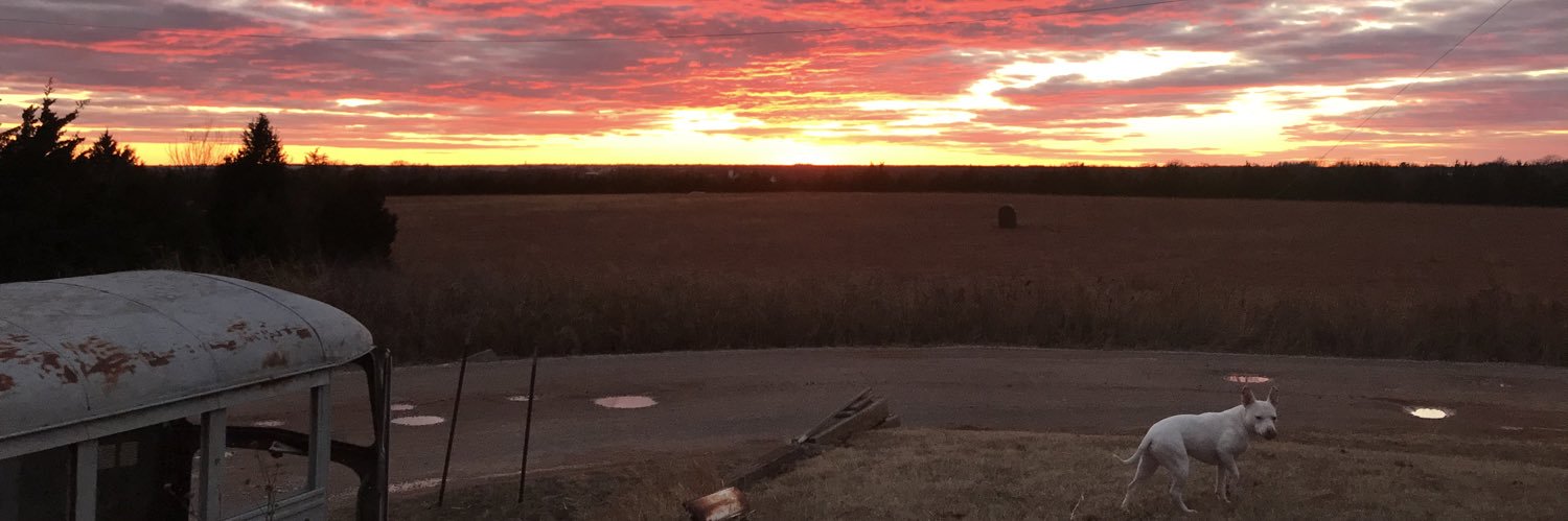 JessJessaroo's profile banner image