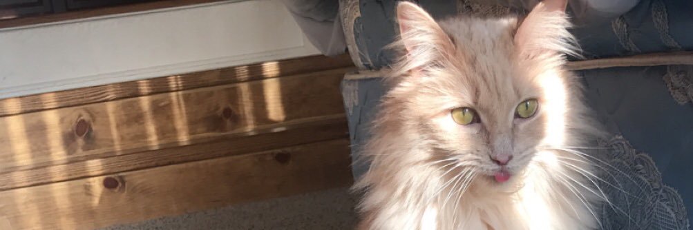 maddddyjones's profile banner image