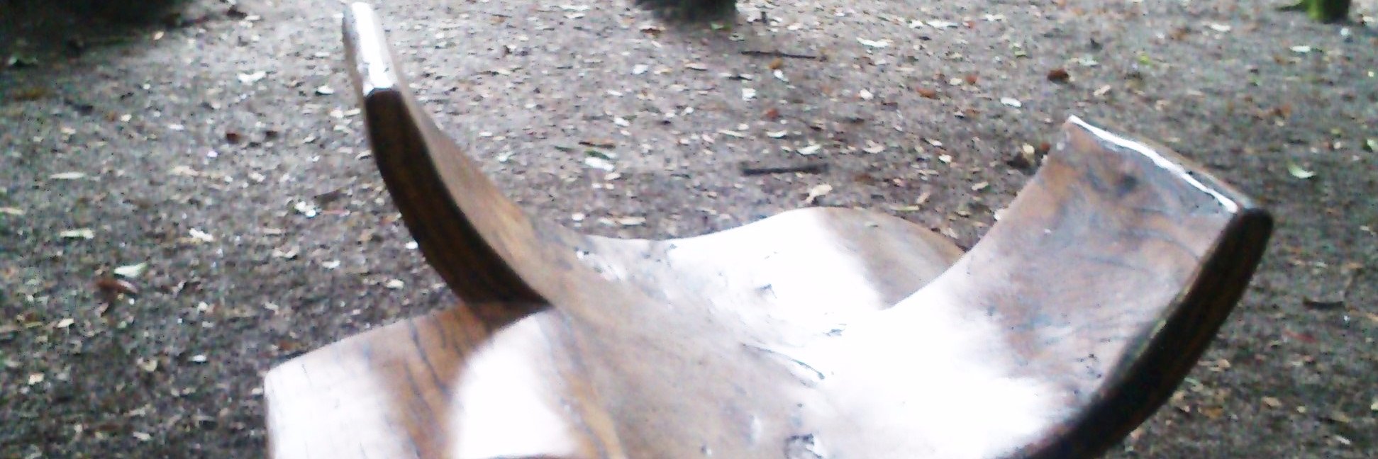 Sandra Lima Vasques banner