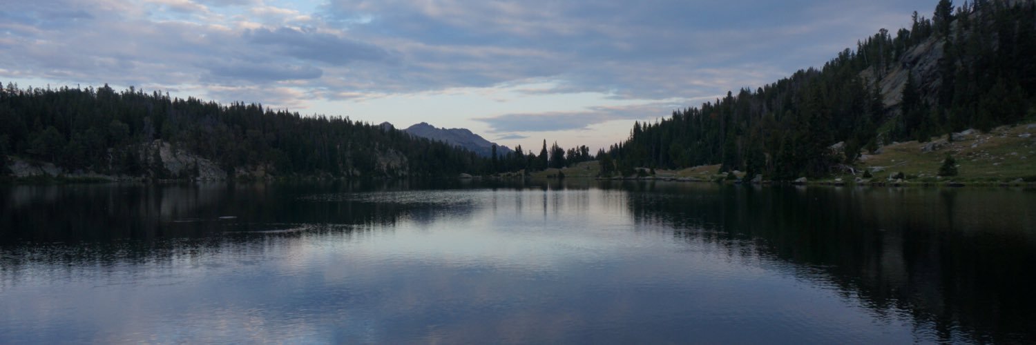 swdp's profile banner image