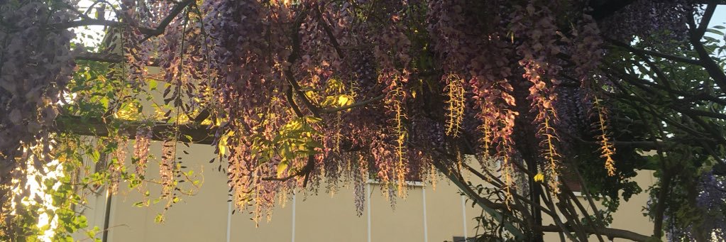Murpha_'s profile banner image