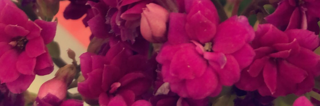 me0ara's profile banner image