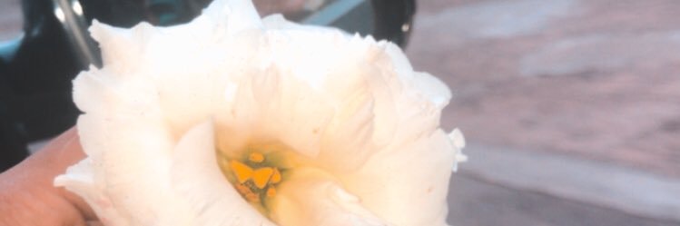 andrade_walyson's profile banner image