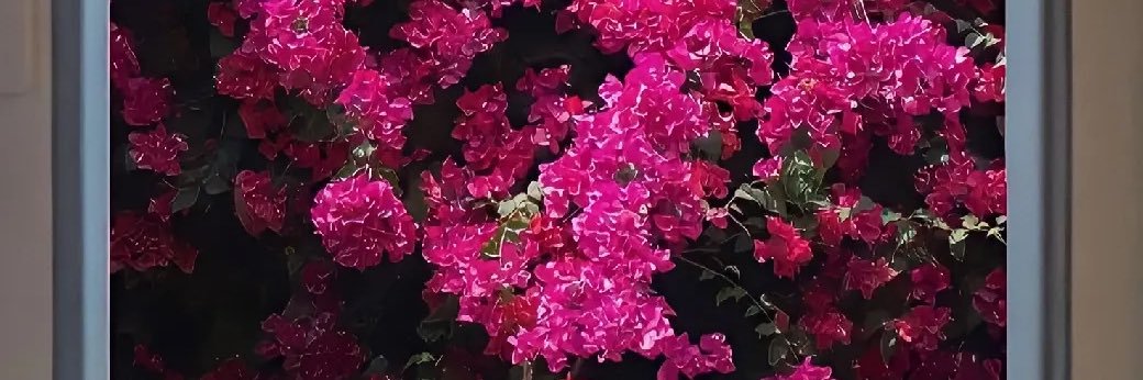 as__22q's profile banner image