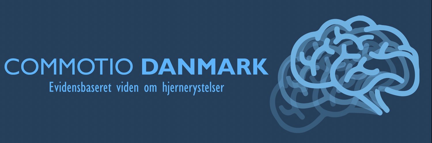 Ronni Lykke Bødker banner