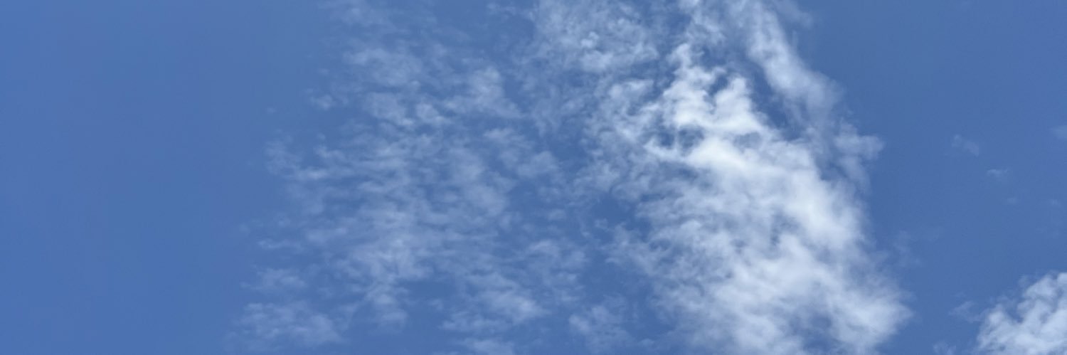 owl banner