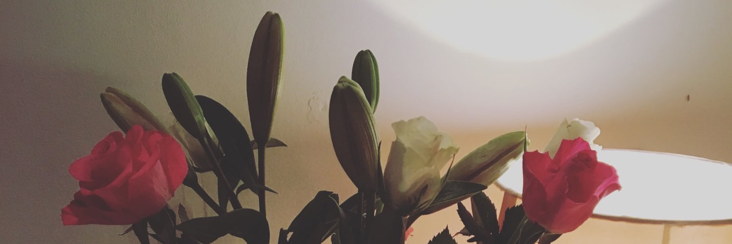 RacheyRooKaye's profile banner image