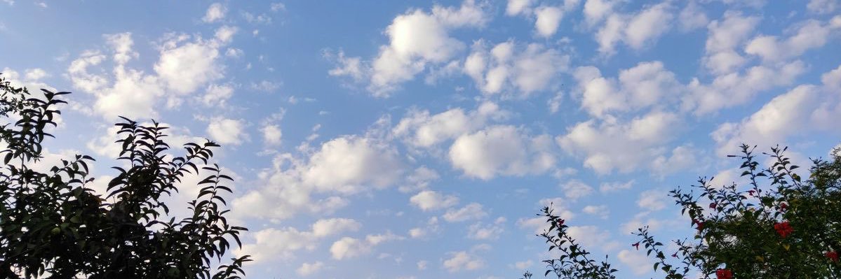 Manara_Maher's profile banner image