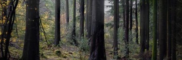 TheCrumpledCan Profile Banner
