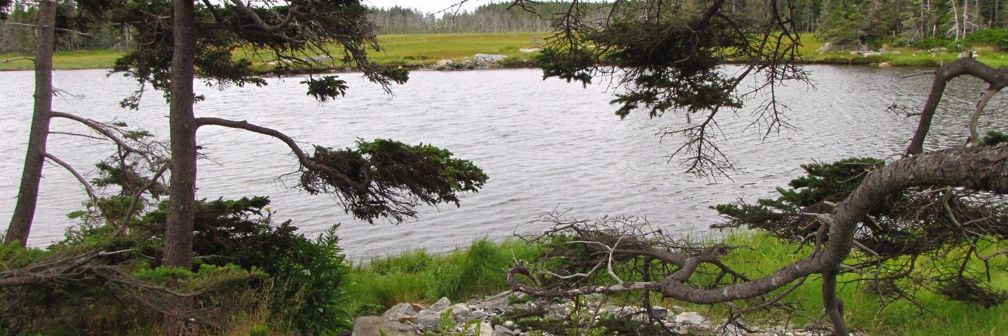 davhillenb's profile banner image