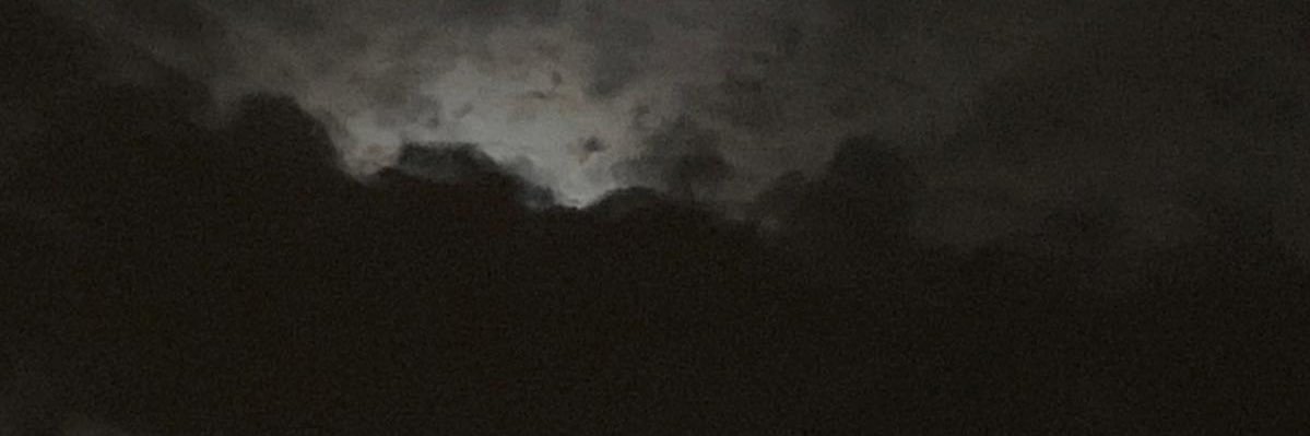 mm7 banner