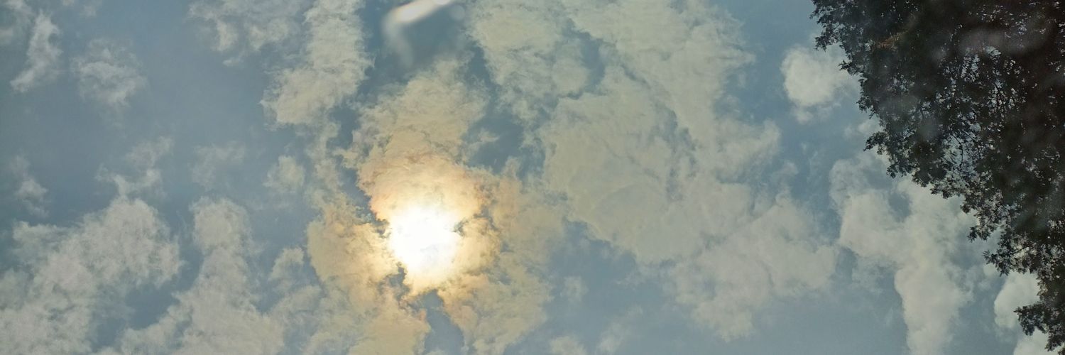manav011's profile banner image
